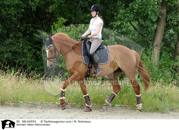 Frau reitet Hannoveraner / woman rides Hanoverian / NS-04554