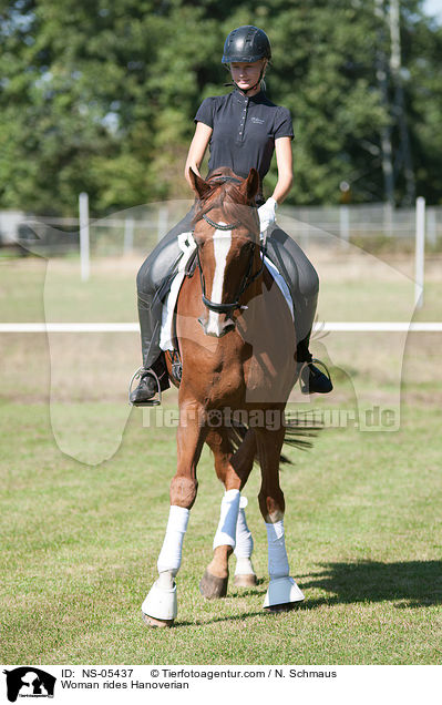 Frau reitet hannoveraner / Woman rides Hanoverian / NS-05437