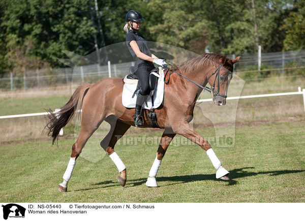 Frau reitet hannoveraner / Woman rides Hanoverian / NS-05440