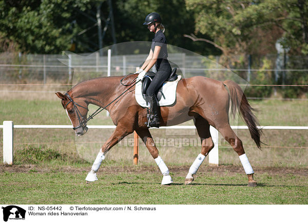 Frau reitet hannoveraner / Woman rides Hanoverian / NS-05442