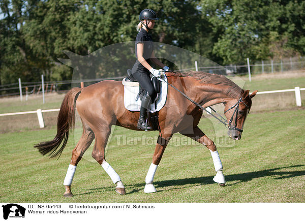 Frau reitet hannoveraner / Woman rides Hanoverian / NS-05443