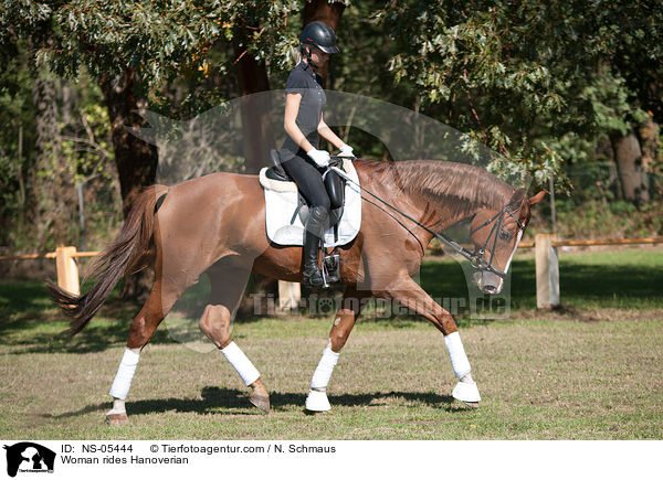 Frau reitet hannoveraner / Woman rides Hanoverian / NS-05444