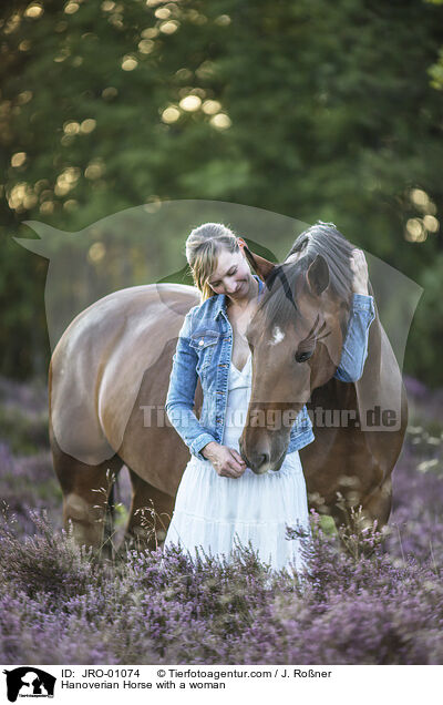 Hannoveraner mit Frau / Hanoverian Horse with a woman / JRO-01074