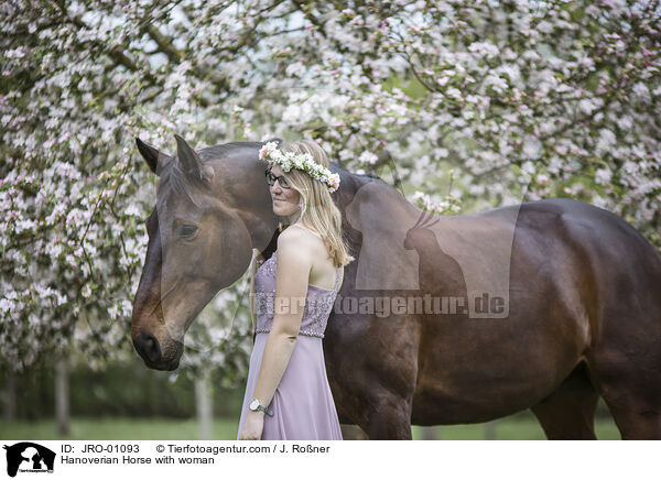 Hannoveraner mit Frau / Hanoverian Horse with woman / JRO-01093