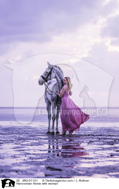 Hannoveraner mit Frau / Hanoverian Horse with woman / JRO-01101