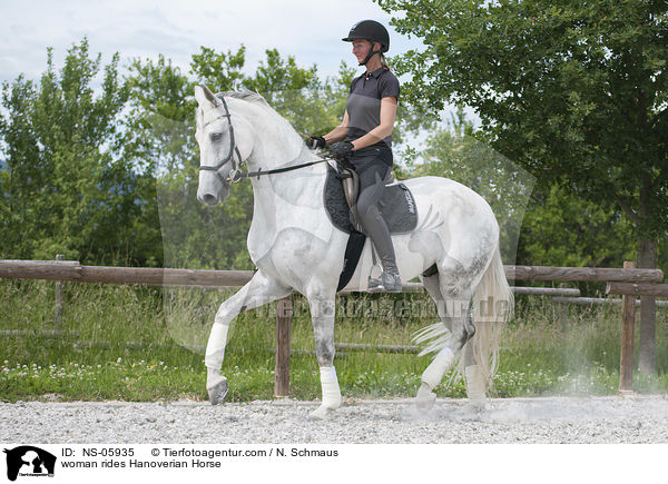 Frau reitet Hannoveraner / woman rides Hanoverian Horse / NS-05935