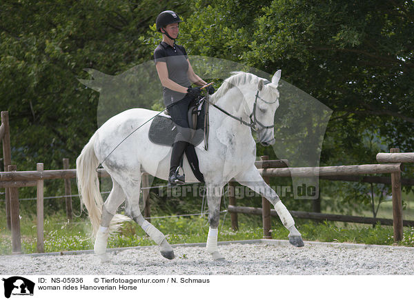 Frau reitet Hannoveraner / woman rides Hanoverian Horse / NS-05936