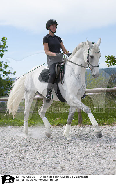 Frau reitet Hannoveraner / woman rides Hanoverian Horse / NS-05938