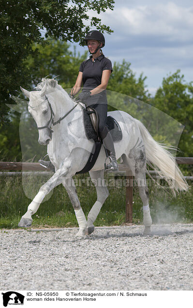 woman rides Hanoverian Horse / NS-05950