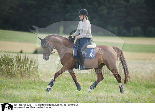 Frau reitet Hannoveraner / woman rides Hanoverian Horse / NS-06223