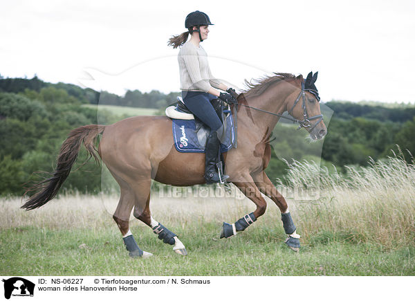 woman rides Hanoverian Horse / NS-06227