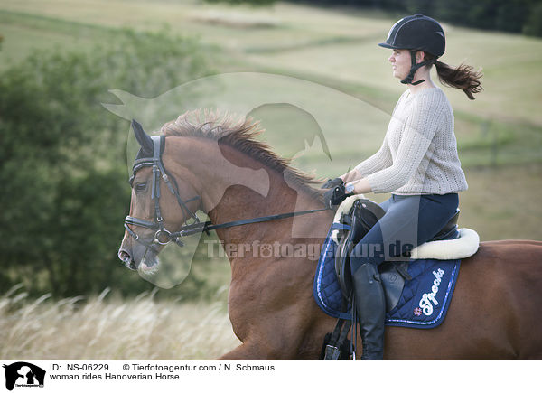 Frau reitet Hannoveraner / woman rides Hanoverian Horse / NS-06229