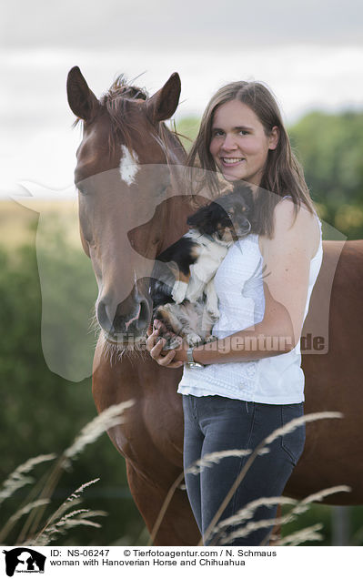 woman with Hanoverian Horse and Chihuahua / NS-06247