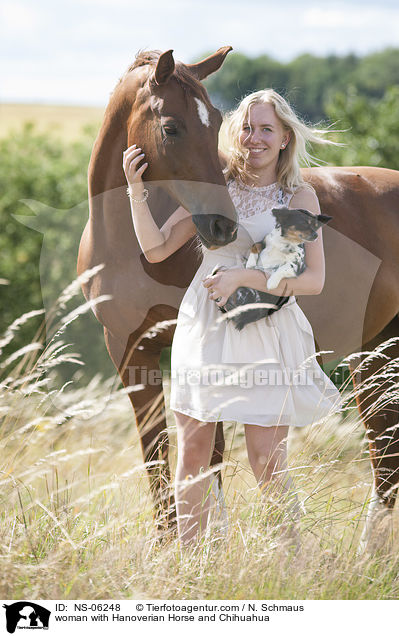 Frau mit Hannoveraner und Chihuahua / woman with Hanoverian Horse and Chihuahua / NS-06248