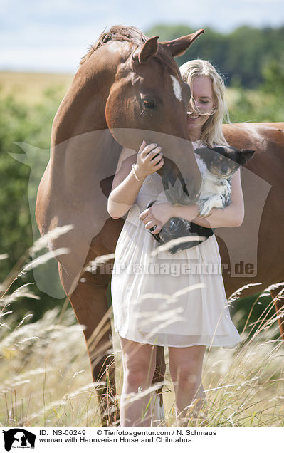 woman with Hanoverian Horse and Chihuahua / NS-06249