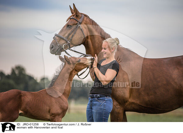 Frau und Hannoveraner mit Fohlen / woman with Hanoverian and foal / JRO-01258