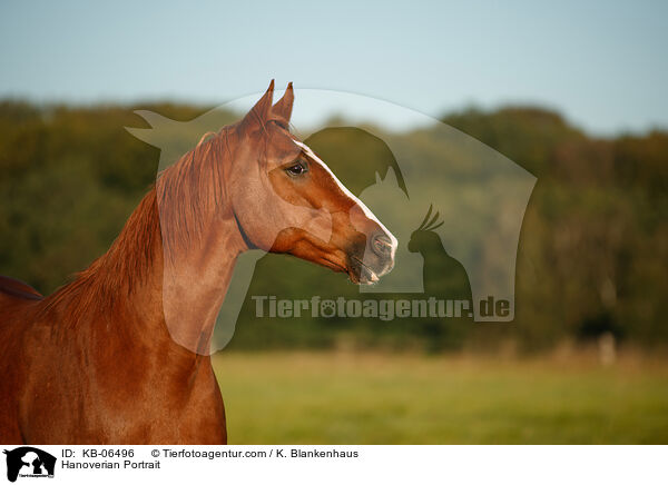 Hanoverian Portrait / KB-06496