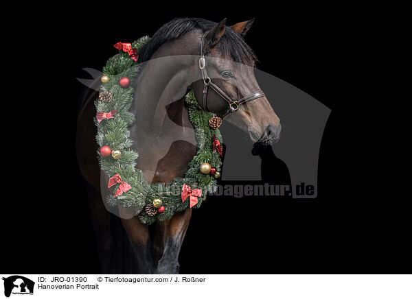 Hanoverian Portrait / JRO-01390