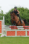 jumping Hannoveraner horse