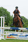 jumping Hannoveraner horse