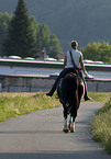woman rides hannoveraner horse