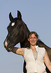 hannoveraner horse portrait