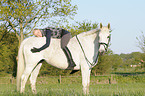 woman rides Hanoverian horse
