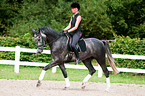 woman rides Hanoverian horse