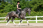 woman rides Hanoverian horse