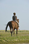 woman rides Hanoverian