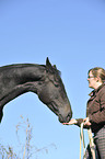 woman with Hanoverian warmblood