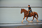 man rides Hanoverian warmblood