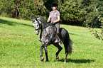 woman rides Hanoverian
