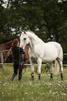 woman and Hanoverian