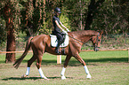 Woman rides Hanoverian