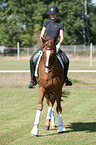 Woman rides Hanoverian