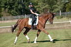 Woman rides Hanoverian