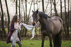 Hanoverian Horse with woman