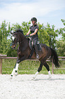 woman rides Hanoverian Horse