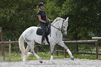 woman rides Hanoverian Horse