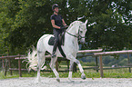 woman rides Hanoverian Horse