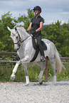 woman rides Hanoverian Horse