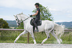 woman rides Hanoverian Horse