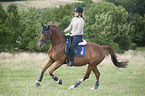 woman rides Hanoverian Horse