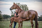 woman with Hanoverian and foal