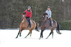 Hanoverian in the snow