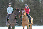 Hanoverian in the snow