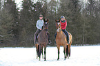 Hanoverian in the snow