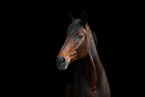 Hanoverian Portrait