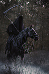 one of the ringwraiths